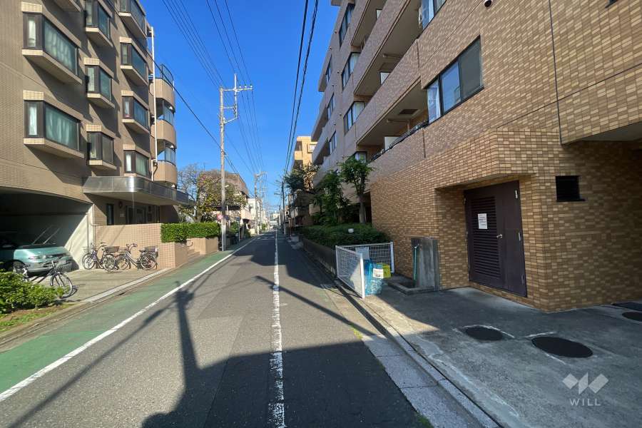 敷地南西側の前面道路（南東側から）