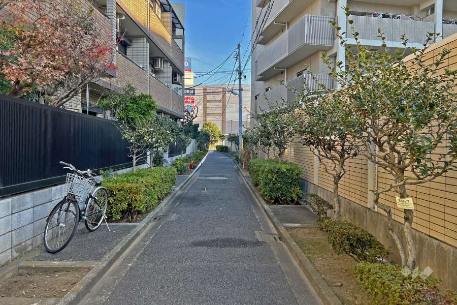 敷地北側の前面道路（西側から）
