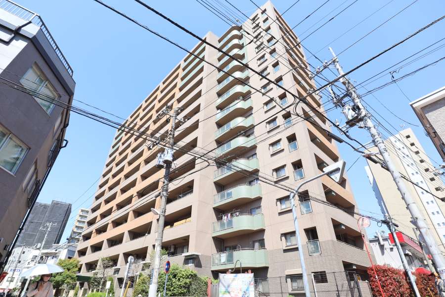 レクセルマンション亀有の外観（南西側から）