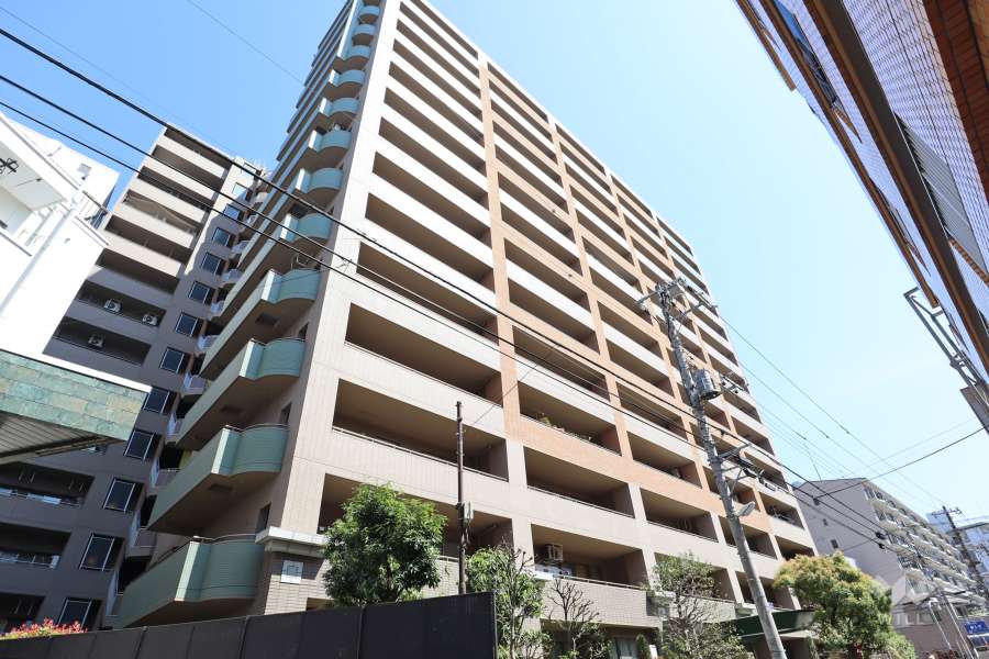 レクセルマンション亀有の外観（西側から）