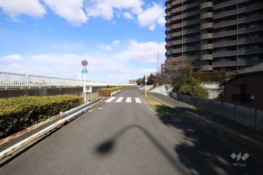 敷地北西側の前面道路は中川沿いです(南西側から)。