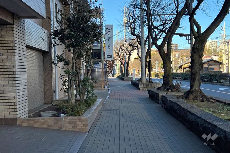 敷地東側の前面道路