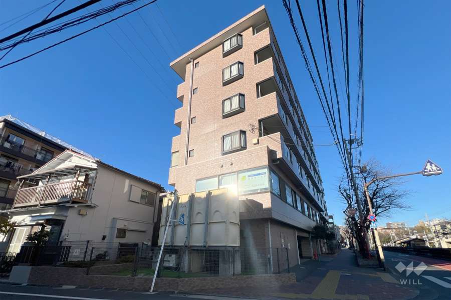 日神パレステージ亀有の外観（南側から）