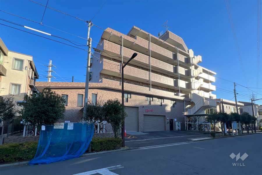 日神パレステージ亀有の外観（北側から）