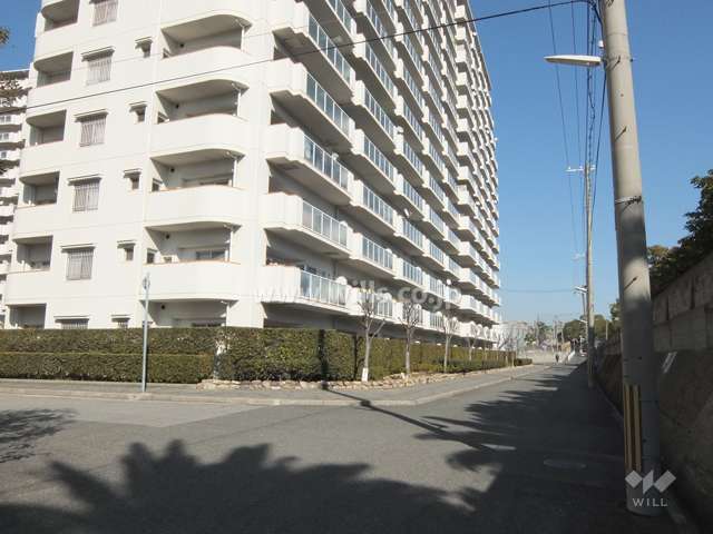 敷地南東側の前面道路