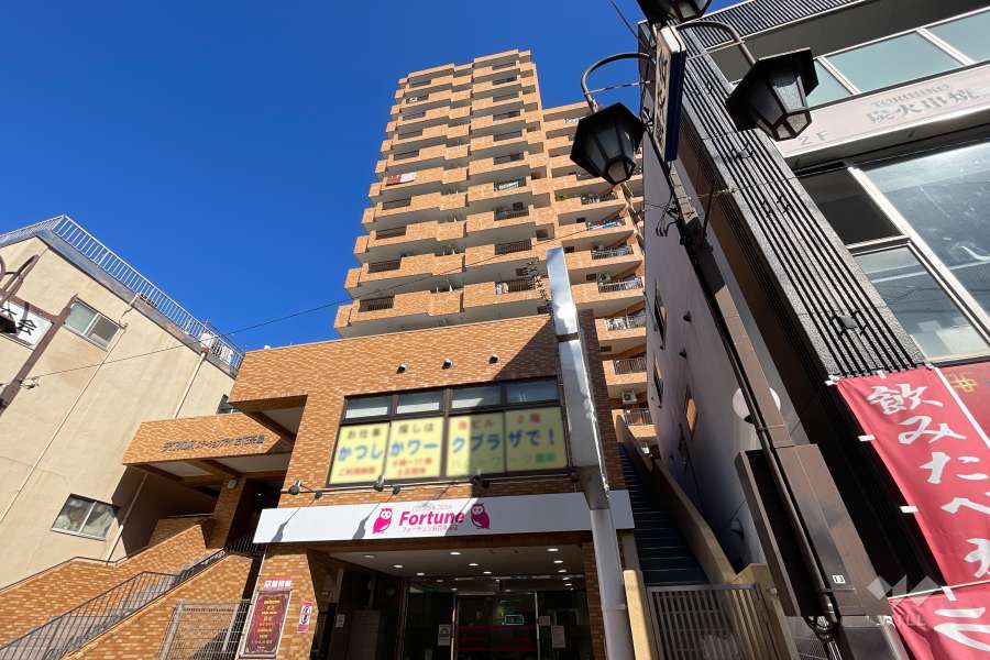 ダイアパレスステーションプラザお花茶屋の外観（南東側から）