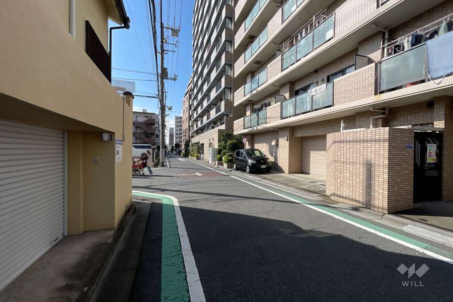 敷地の南東側前面道路（北東側から）