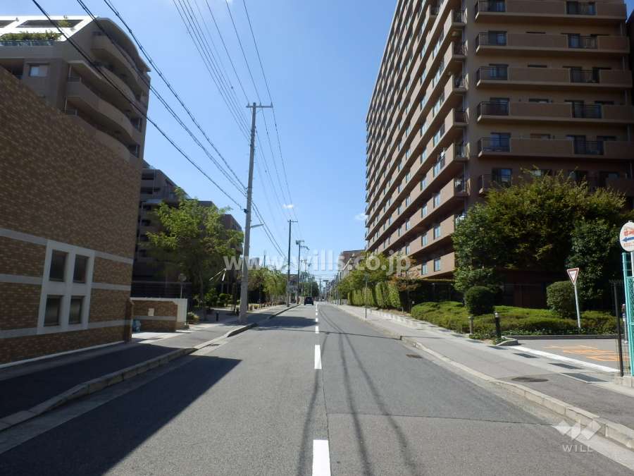 敷地南側の前面道路