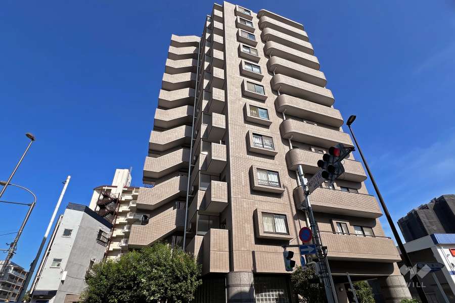 レクセル青戸の外観（北西側から）