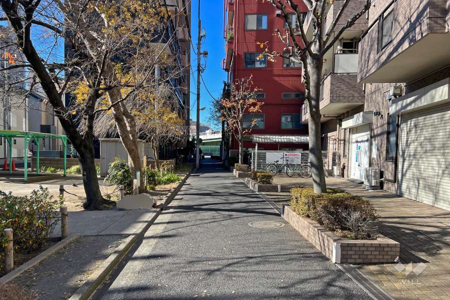 敷地の南側前面道路（東側から）