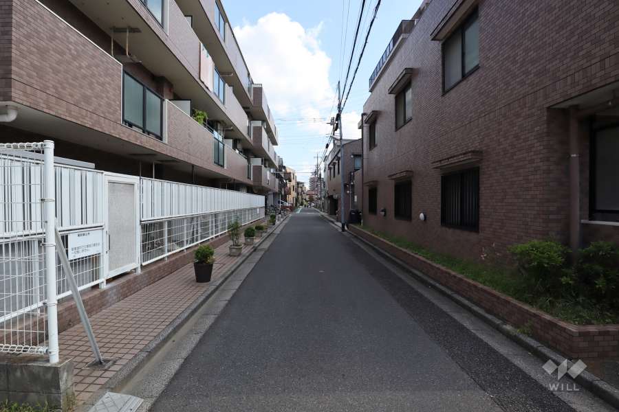 敷地北側の前面道路（西側から）