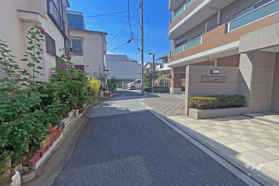 敷地の南側前面道路（東側から）