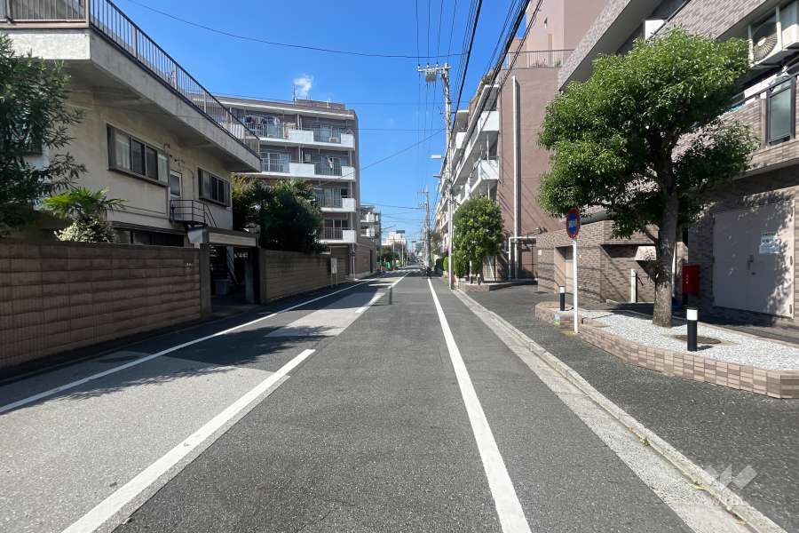 敷地の西側前面道路（南側から）