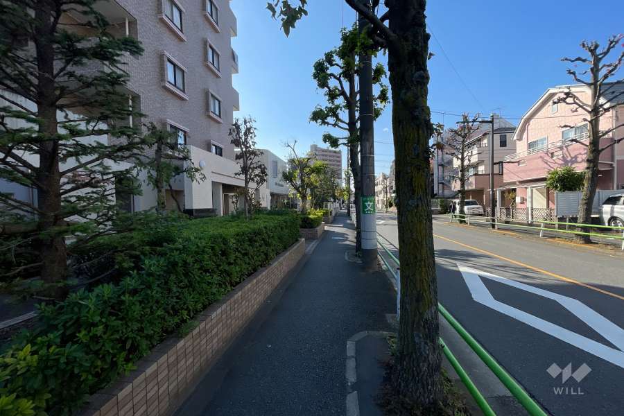 敷地の北側前面道路（東側から）