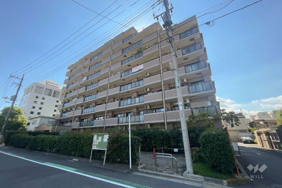 レクセル四つ木の外観（北東側から）
