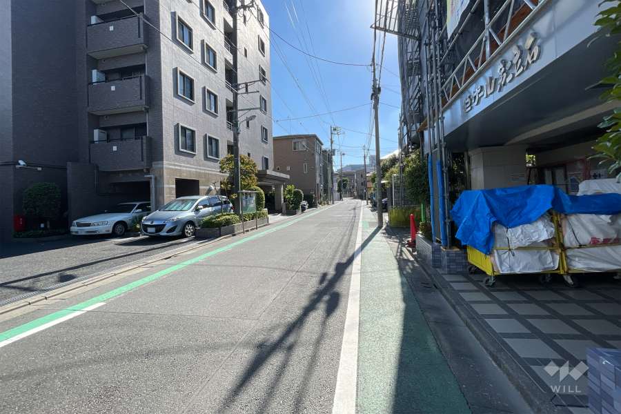 敷地の東側前面道路（北側から）