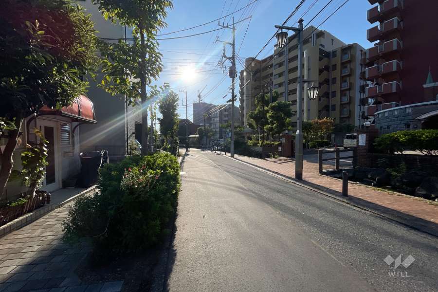 敷地北側の前面道路
