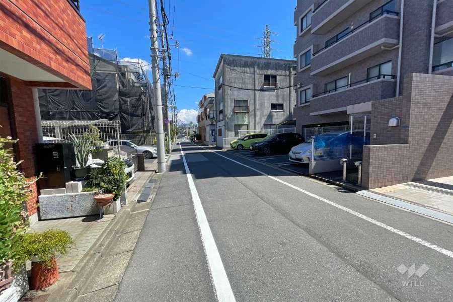敷地北側の前面道路（西側から）