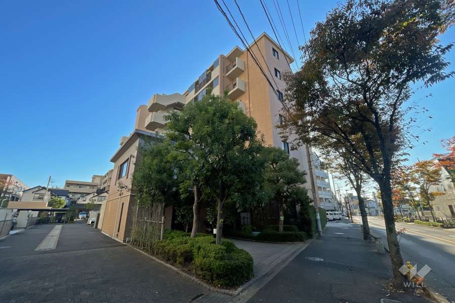 クレストコート金町の外観（北西側から）