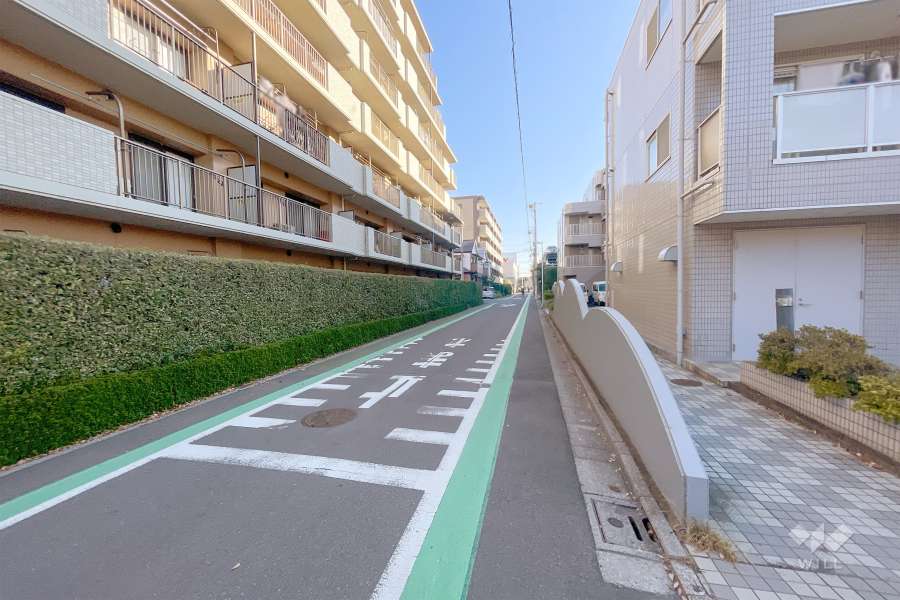 敷地南側の前面道路（西側から）