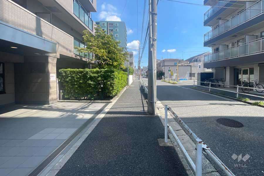 敷地の南側前面道路（西側から）