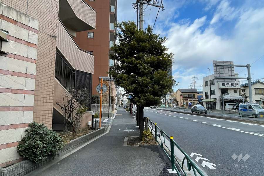 敷地東側の前面道路