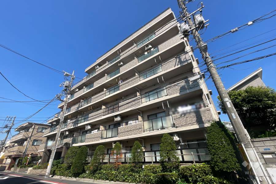 コンポーゼ亀有の外観（南西側から）