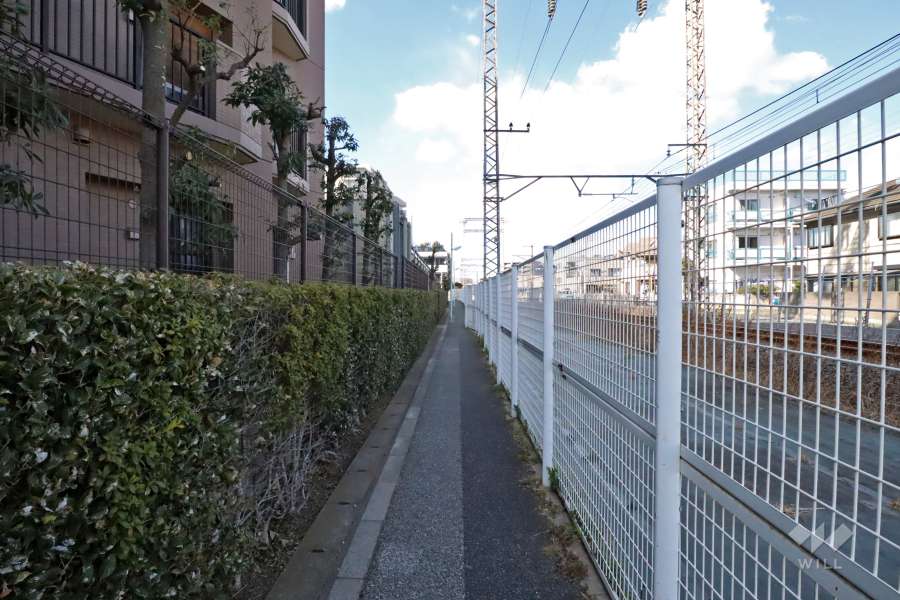 敷地北東側の通路