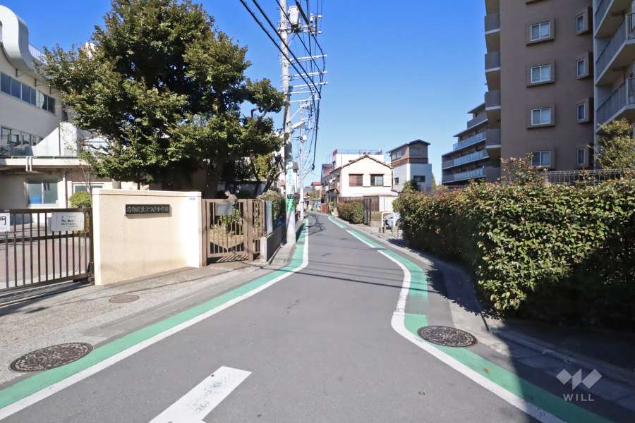 敷地南西側の前面道路（南側から）