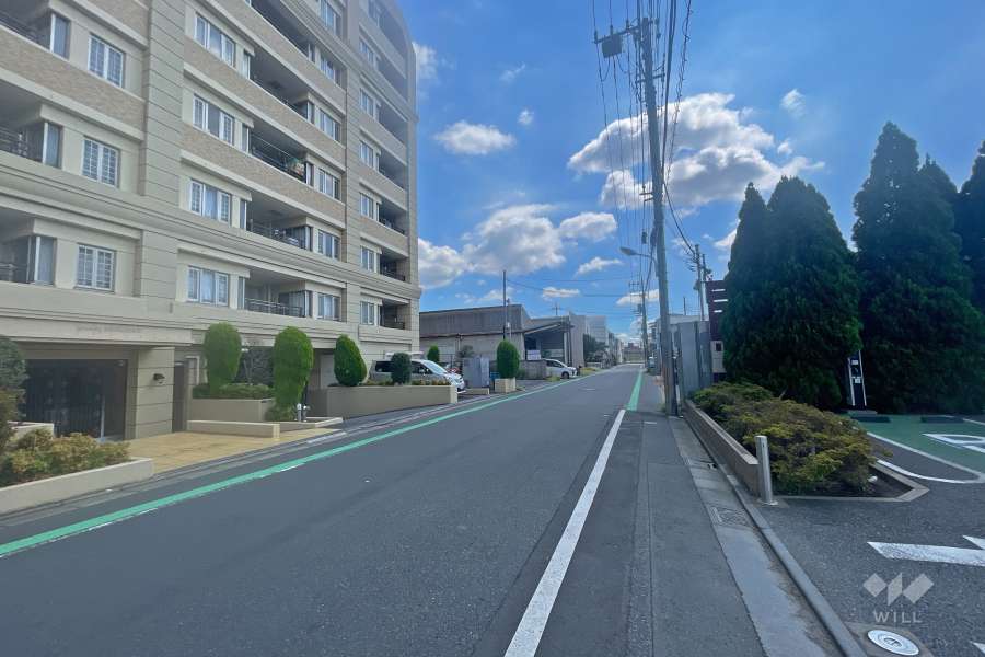 敷地南西側の前面道路（北西側から）