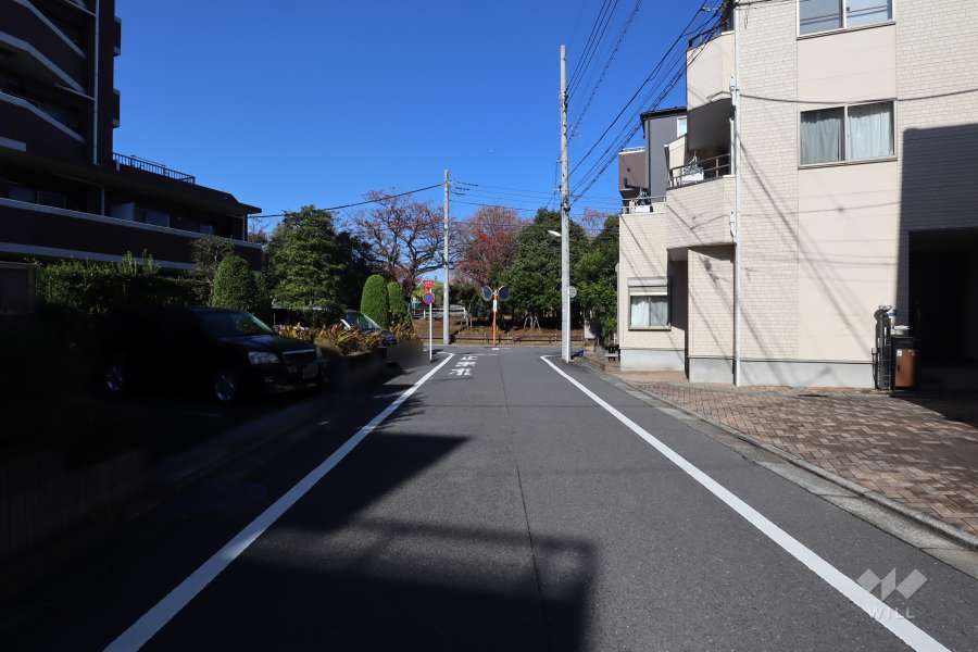 敷地東側の前面道路(南側から)