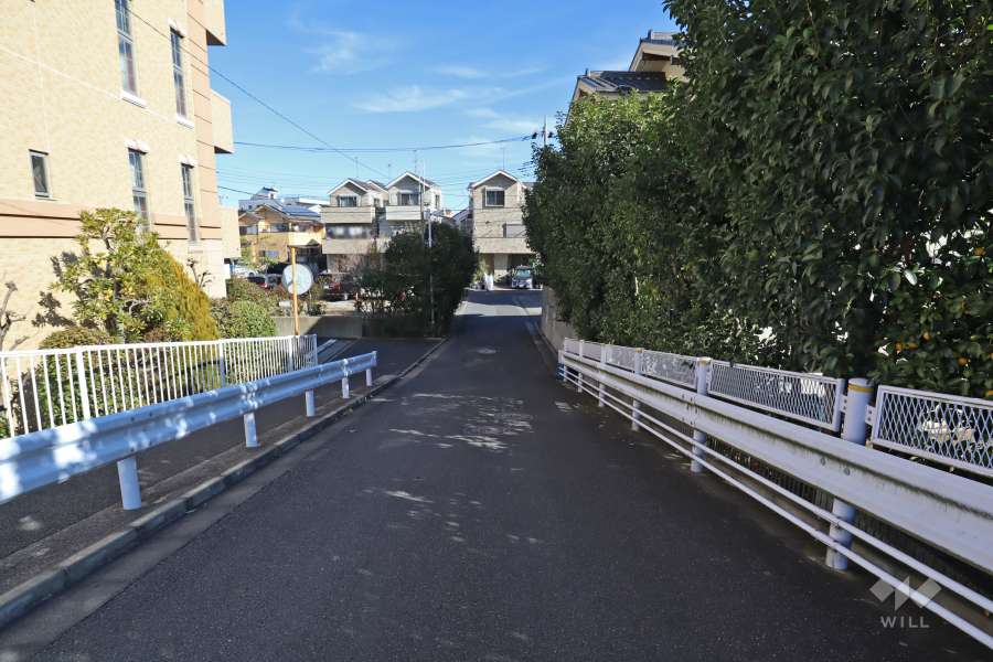 敷地南側の前面道路（西側から）