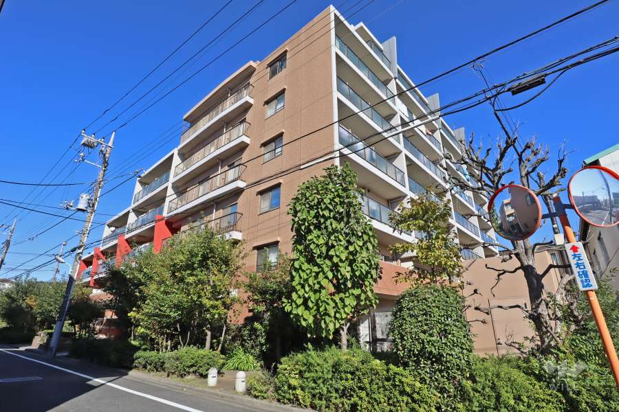 レクセルガーデン小岩の外観(南西側から)