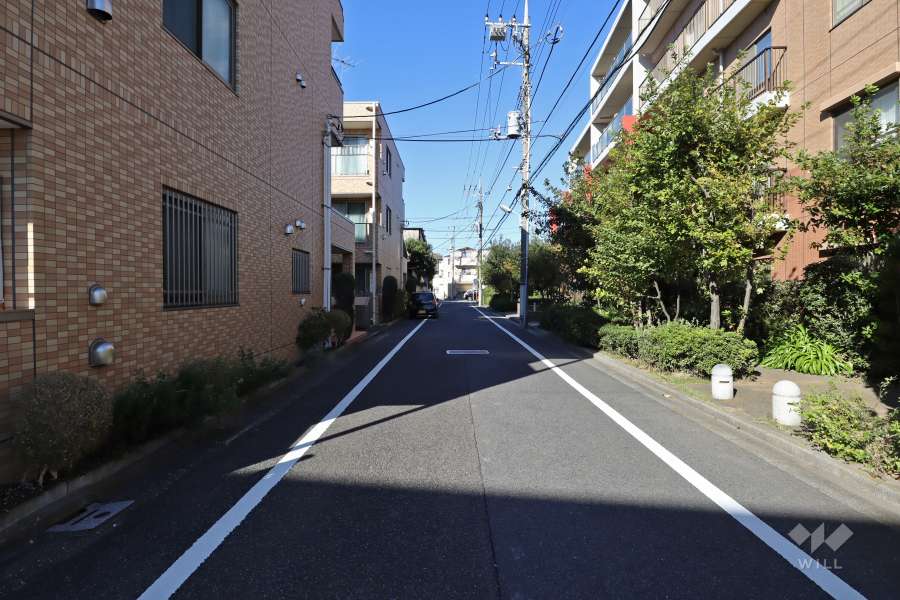 敷地西側の前面道路(南側から)