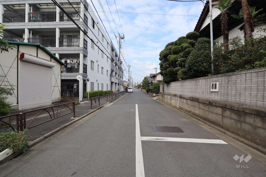 敷地東側の前面道路(南側から)