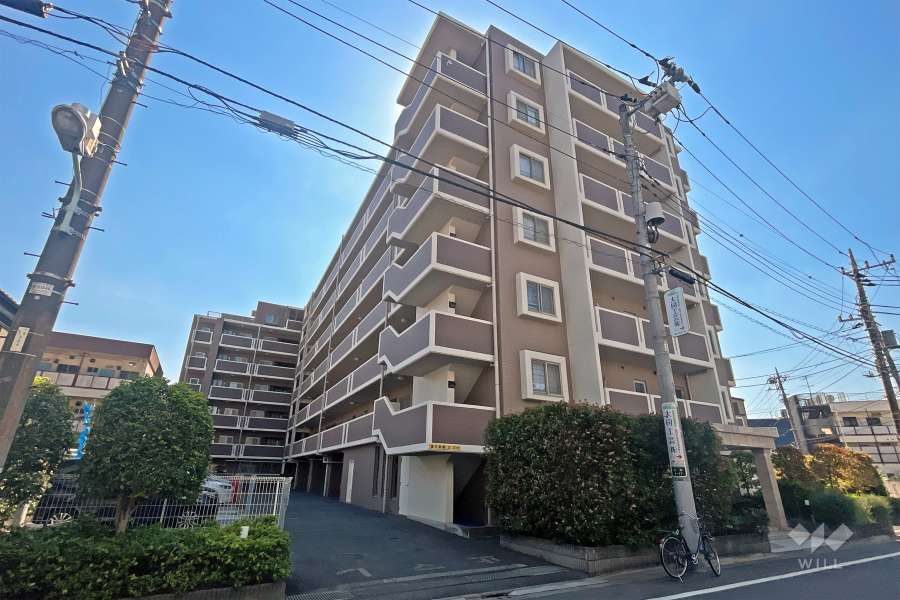 サンクレイドル白鳥の外観（北東側から）