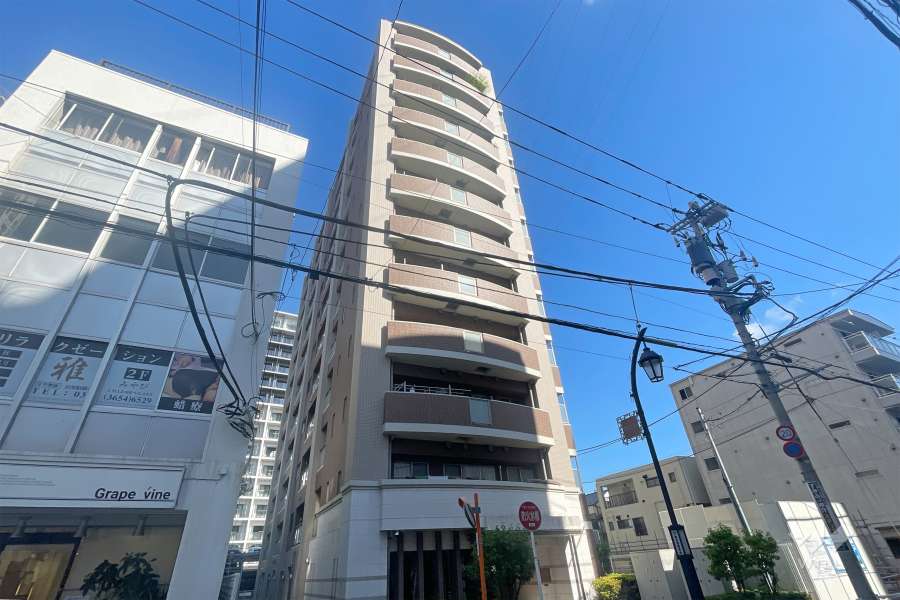 ミオカステーロ新小岩の外観（南西側から）