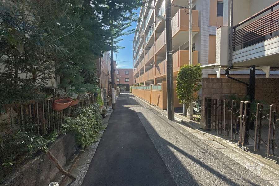 敷地の南側前面道路（東側から）