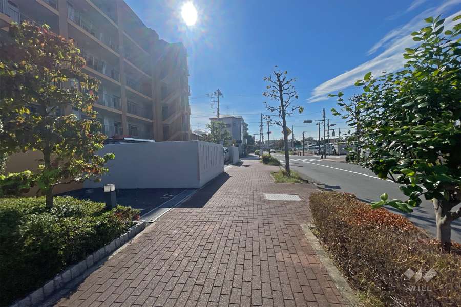 敷地の北側前面道路は「ときわ花小路」です（東側から）。