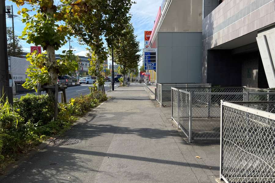 敷地南東側の前面道路　