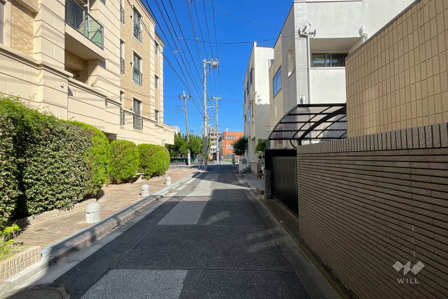 敷地の東側前面道路（南側から）