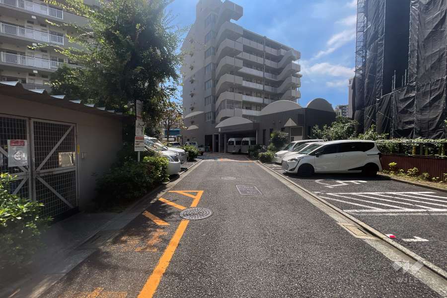 敷地の北側前面道路（西側から）