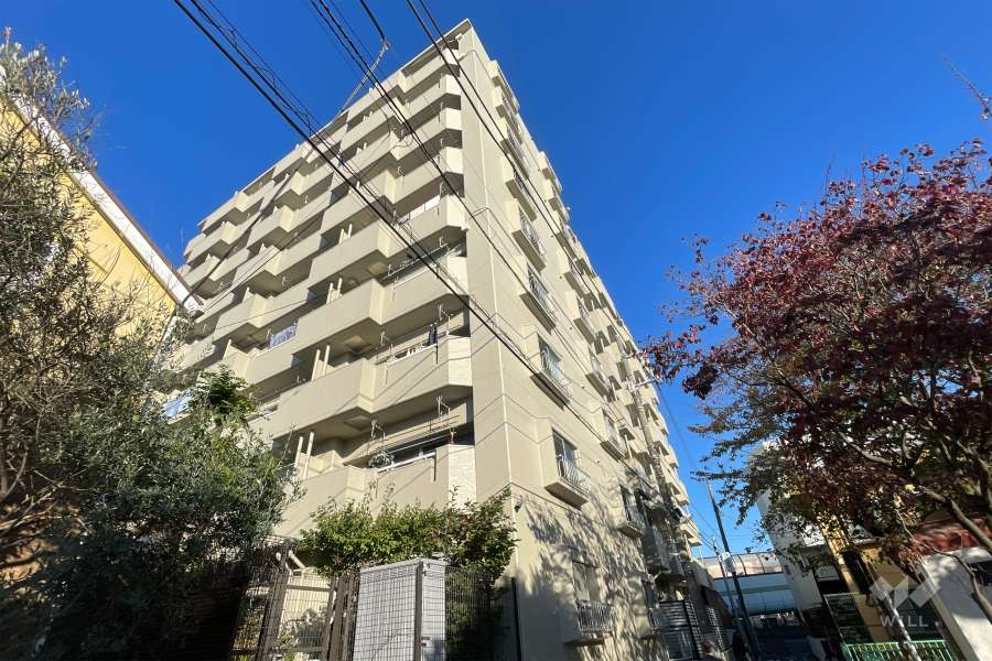 グリーンキャピタル金町の外観（南東側から）