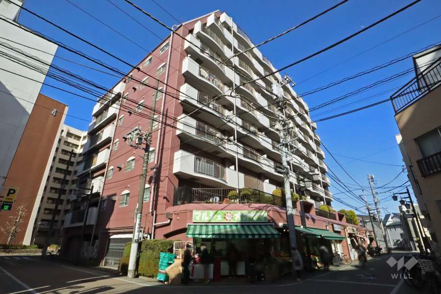 グリーンハイツ金町の外観(南西側から)