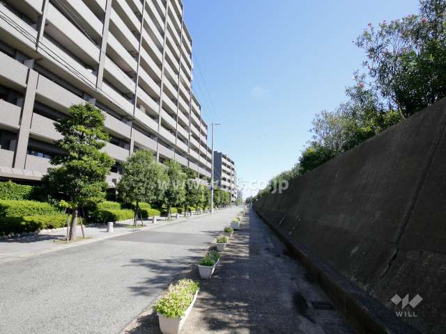敷地南側の前面道路