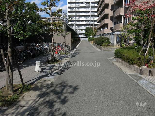 敷地東側の前面道路