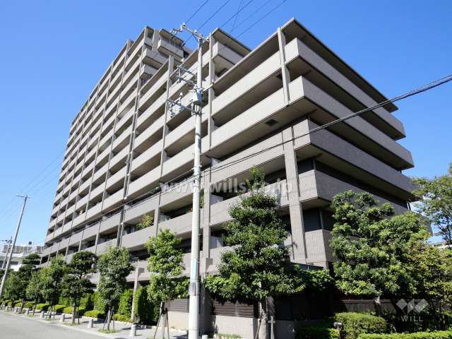 コスモシティ住吉川公園Ｃ棟の外観（南東側から）