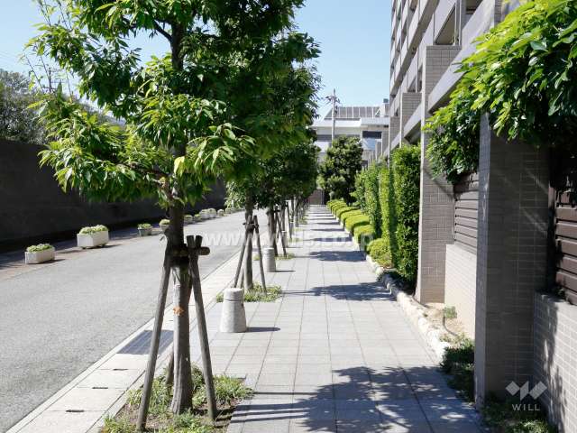 敷地南側の前面道路