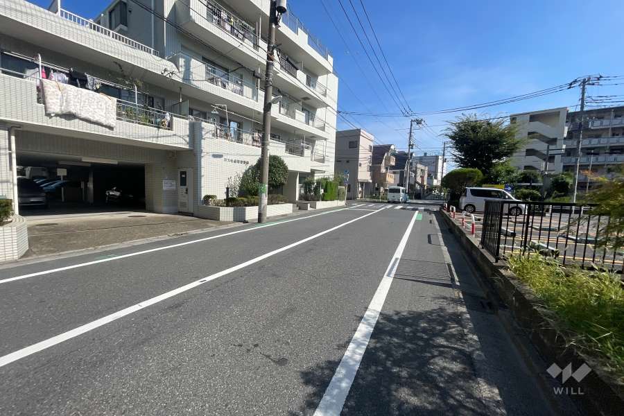 敷地西側の前面道路（北側から）