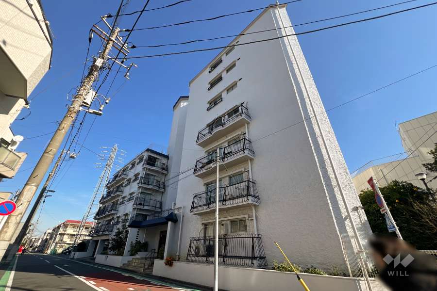 サンパレス青戸の外観（南西側から）